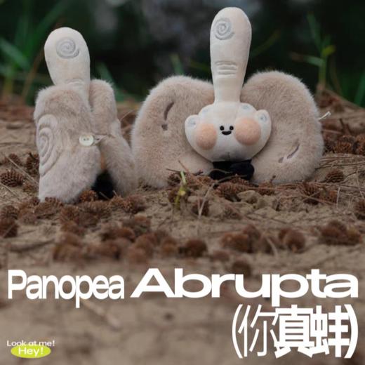 logaloga海活着系列 商品图3