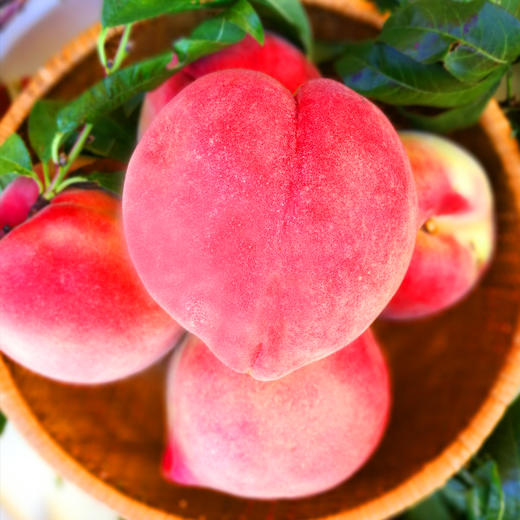 【丽江雪桃】顺丰空运到家 个大饱满 肉质紧致 肉厚香甜 脆甜爽口 色彩鲜艳 均匀漂亮 4种规格任选 商品图1