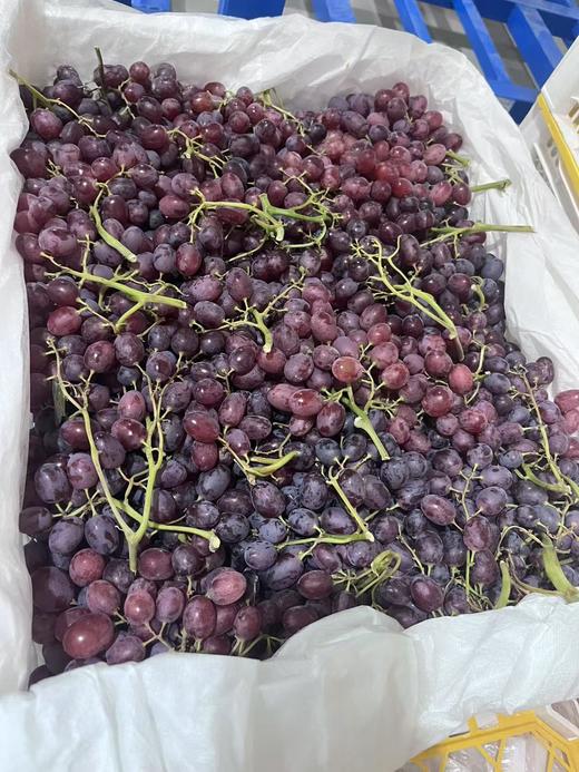 【严选】新疆克伦生香甜皮薄肉脆红提3斤/5斤 商品图7