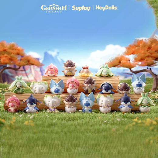 suplay盲袋 商品图0