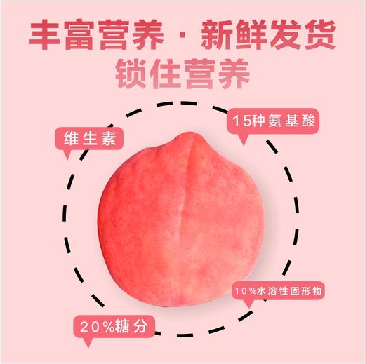 【丽江雪桃】顺丰空运到家 个大饱满 肉质紧致 肉厚香甜 脆甜爽口 色彩鲜艳 均匀漂亮 4种规格任选 商品图13