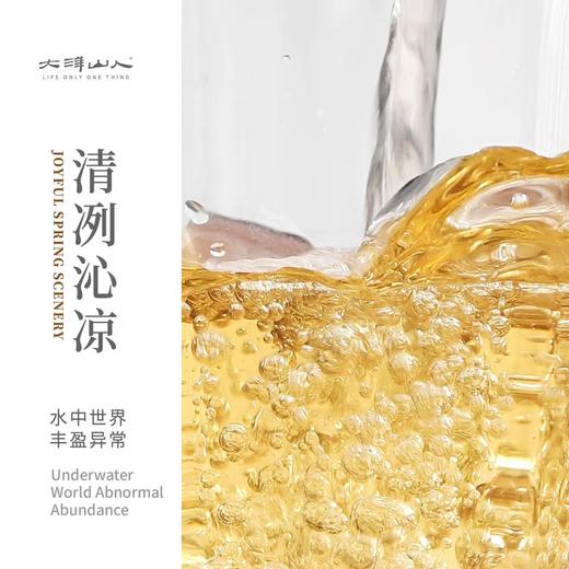 福鼎白茶丨2025年一叶九鼎 竹韵牡丹·一级白牡丹 500g 商品图2