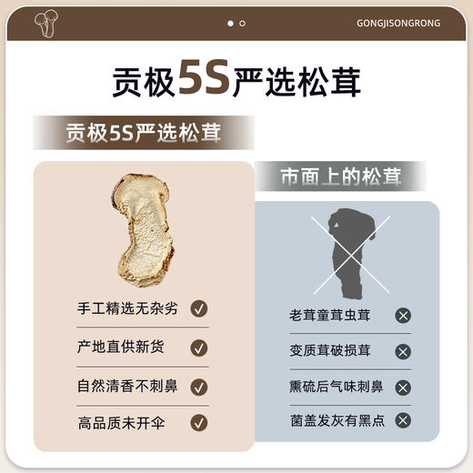 贡极松茸.中国风 优质风干未开伞松茸特级（10g*6） 商品图11