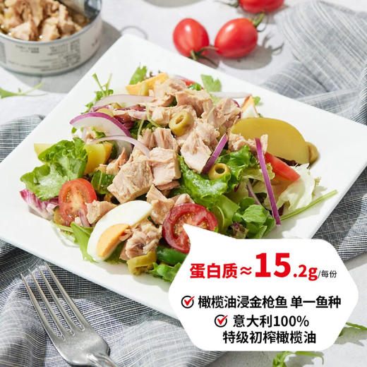 (大)尼斯色拉 Nicoise Salad(L) 商品图0