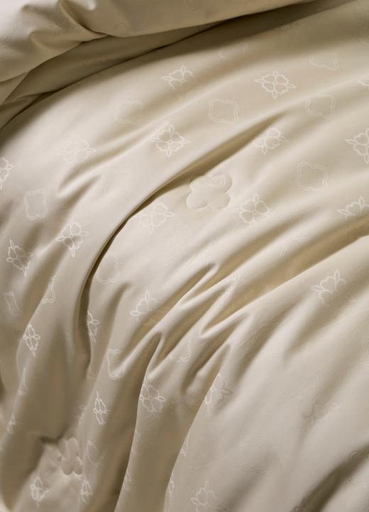 【换季出清】自然醒伊芙琳玻尿酸桑蚕丝被玻尿酸桑蚕丝长丝春秋被轻奢60支全棉大提花冬被单人双人被四叶草LB 商品图12