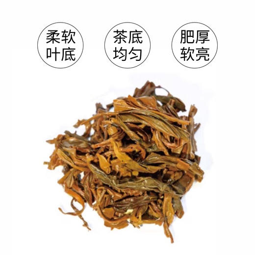 昌宁红茶75g 商品图4