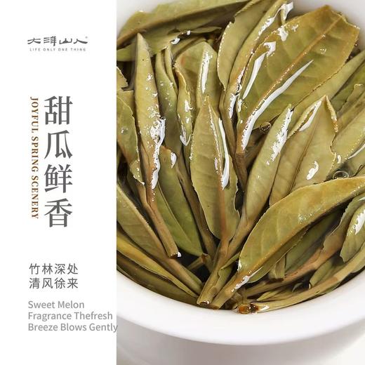 福鼎白茶丨2025年一叶九鼎 竹韵牡丹·一级白牡丹 500g 商品图3