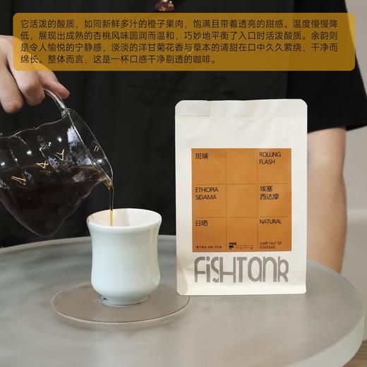 埃塞俄比亚 西达摩 斑斓 日晒 浅烘焙 单品手冲咖啡豆 商品图2