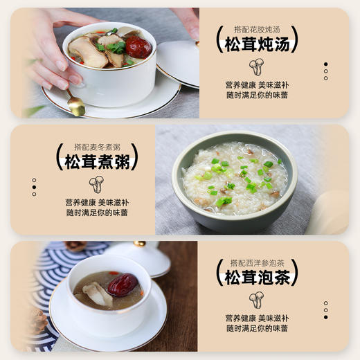 贡极松茸.中国风 优质风干未开伞松茸特级（10g*6） 商品图6