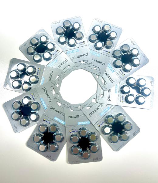 德国Powerone电池 商品图2