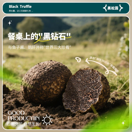 贡极松露 黑松露（10g*6） 商品图3