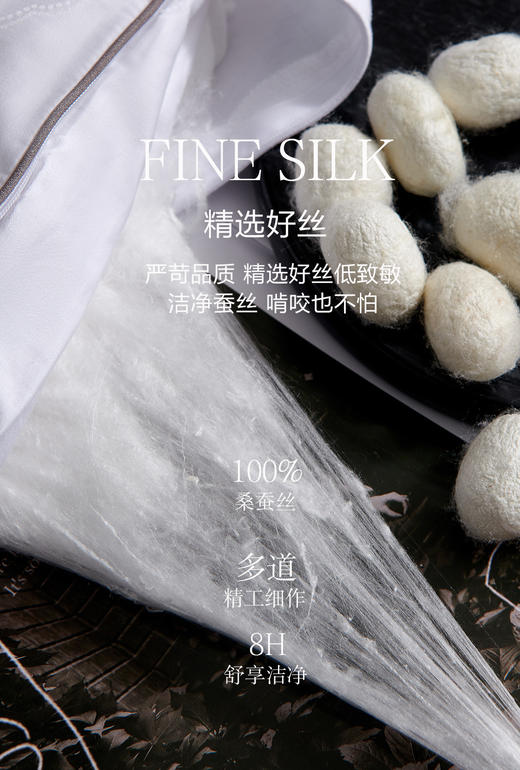 【换季出清】自然醒伊芙琳玻尿酸桑蚕丝被玻尿酸桑蚕丝长丝春秋被轻奢60支全棉大提花冬被单人双人被四叶草LB 商品图7