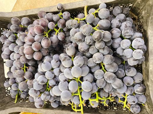 有机富硒巨峰2斤 商品图2