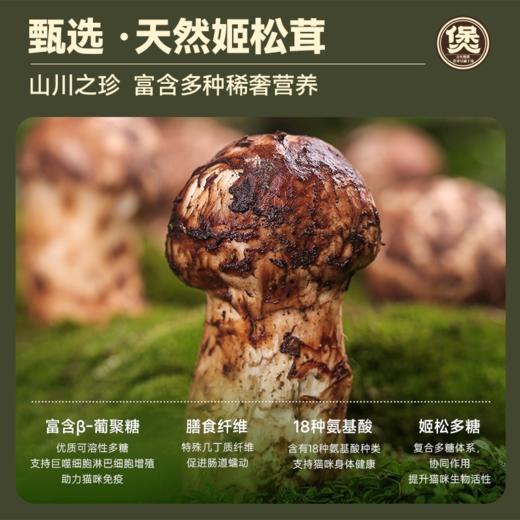 麦富迪姬松茸肉煲猫咪零食幼猫小猫汤包汤罐湿粮补水罐头补充营养 商品图4