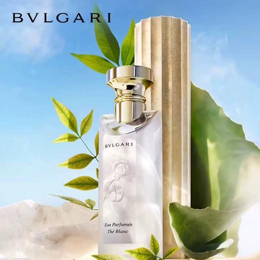 Bvlgari宝格丽悠境白茶香淡香氛75ml 淡香水EDT 商品图1