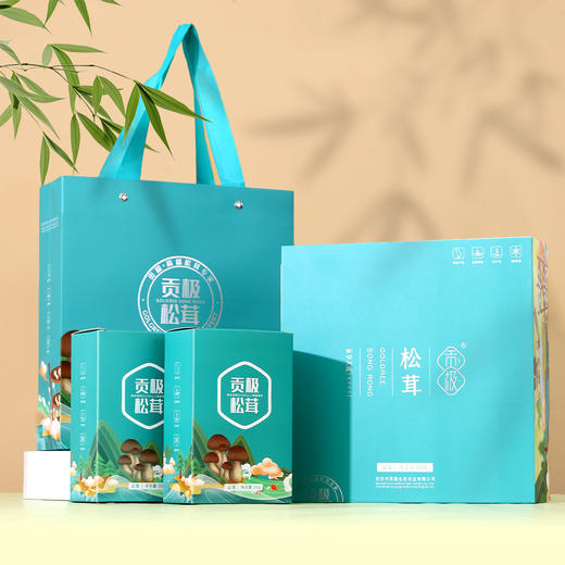 贡极松茸.品馐 优质风干未开伞松茸一级（10g*6） 商品图4
