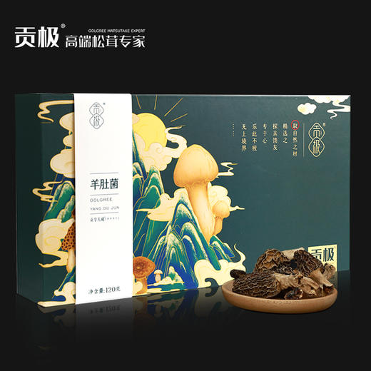 贡极羊肚菌（10g*6） 商品图3