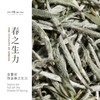 福鼎白茶 | 2025年 一叶九鼎  一级 炭焙银针 500g/盒 商品缩略图1