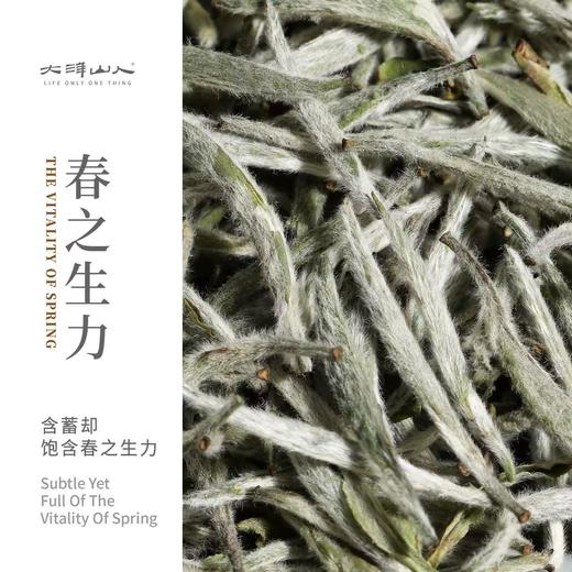 福鼎白茶 | 2025年 一叶九鼎  一级 炭焙银针 500g/盒 商品图1