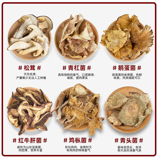 贡极·高原珍宝150g   山珍菌菇干货礼盒组合装滋补 商品图3