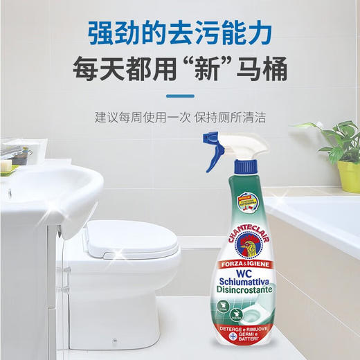 大公鸡管家马桶清洁剂 商品图3