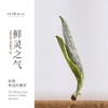 福鼎白茶丨2025年一叶九鼎 炭焙银针·特级 500g 商品缩略图1