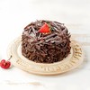 【巧克力坚果黑森林】鲜果奶油蛋糕 商品缩略图0