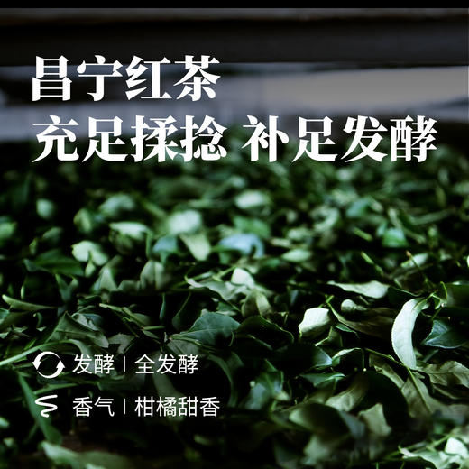 昌宁红茶75g 商品图2