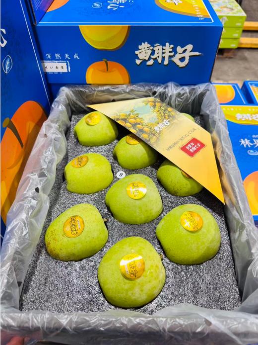 黄胖子苹果一箱 商品图2