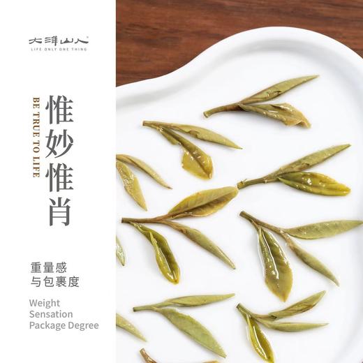 福鼎白茶 | 2025年新茶 一叶九鼎 特级 岚韵牡丹500g 商品图3