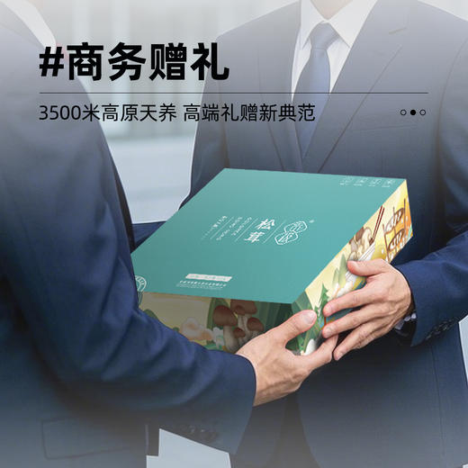 贡极松茸.品馐 优质风干未开伞松茸一级（10g*6） 商品图12