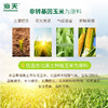 （翼帆）海天香甜玉米胚芽油5L 商品缩略图7