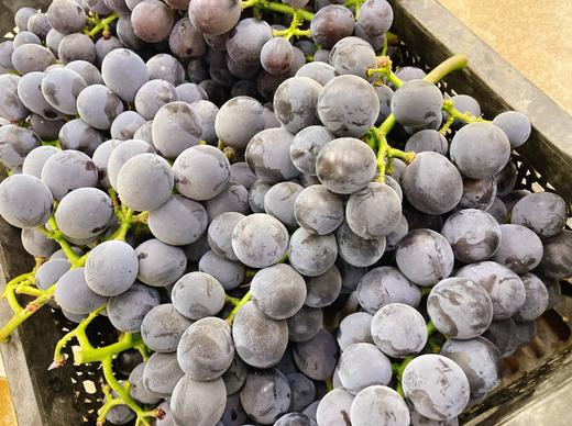 有机富硒巨峰2斤 商品图0