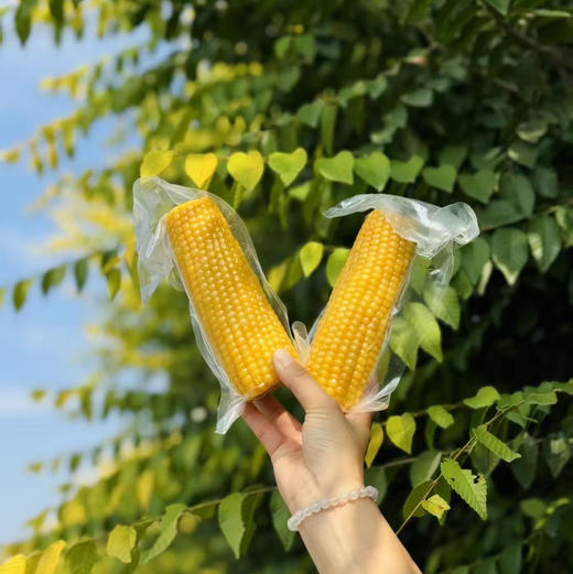 蒙谷有机鲜食玉米 商品图1