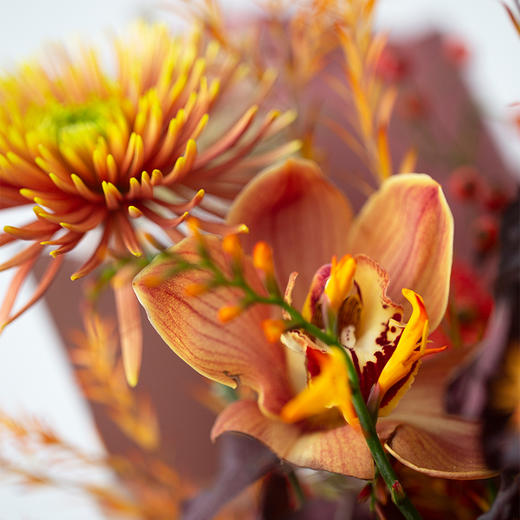 2025版四季·秋「一叶知千秋」花束 商品图3