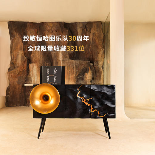 梵尼诗 i7恒哈图联名专业级留声机柜式一体黑胶唱片机轻奢蓝牙音响 商品图1
