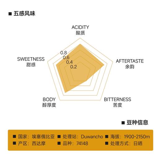埃塞俄比亚 西达摩 斑斓 日晒 浅烘焙 单品手冲咖啡豆 商品图1