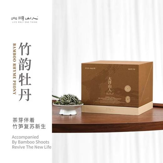 福鼎白茶丨2025年一叶九鼎 竹韵牡丹·一级白牡丹 500g 商品图0