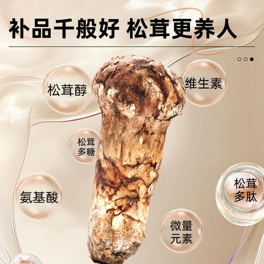 贡极松茸.中国风 优质风干未开伞松茸特级（10g*6） 商品图12