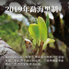 2019年勐海黑制357g 商品缩略图1