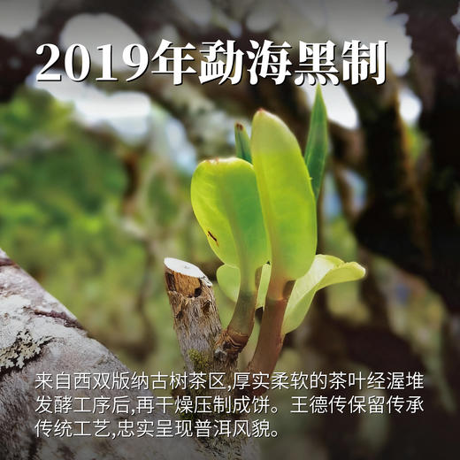 2019年勐海黑制357g 商品图1