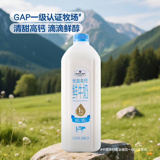 【自提】M 低脂高钙鲜牛奶 2L 商品图1