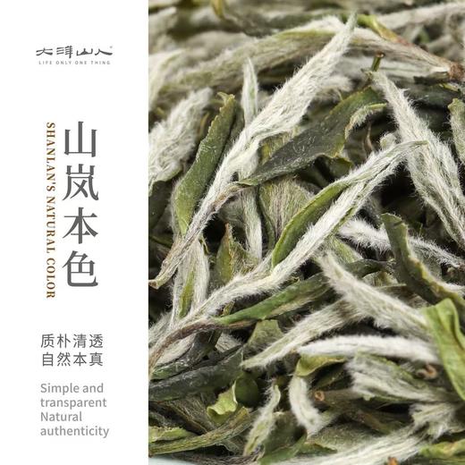 福鼎白茶 | 2025年新茶 一叶九鼎 特级 岚韵牡丹500g 商品图1