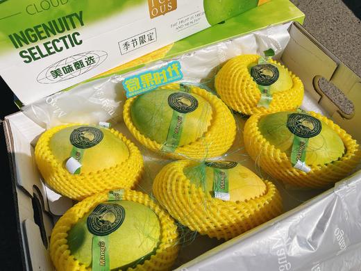 云海茫茫澳芒一箱 商品图1