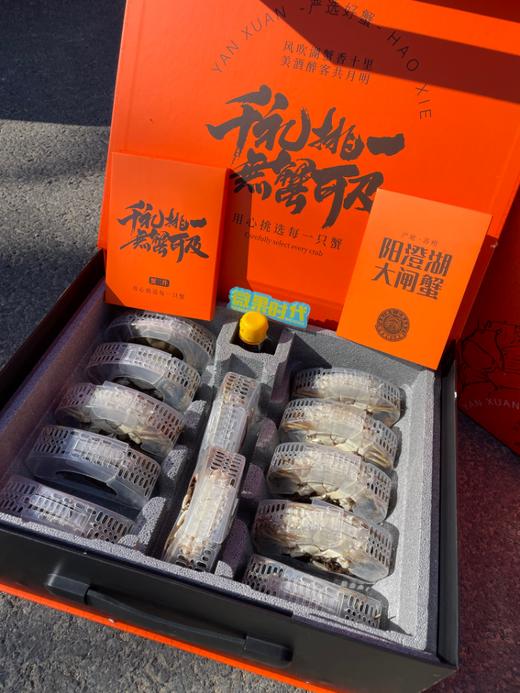 阳澄湖大闸蟹高端礼盒 商品图5
