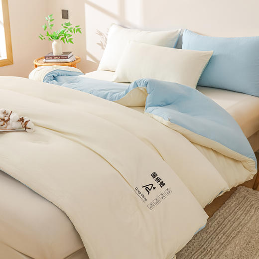 【多样屋专柜】悠梦嘉居深睡温控暖绒被 水洗棉面料200*230CM 2000克  商品图3