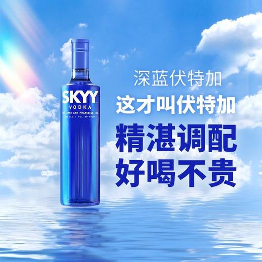 SKYY深蓝原味伏特加750ml正品进口洋酒750ml/瓶 商品图0