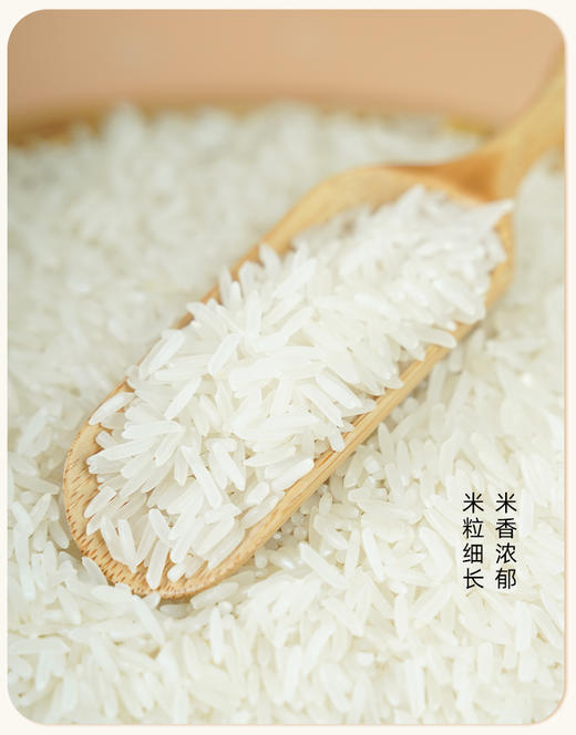 低升糖富硒大米整箱装1kg*5 商品图4