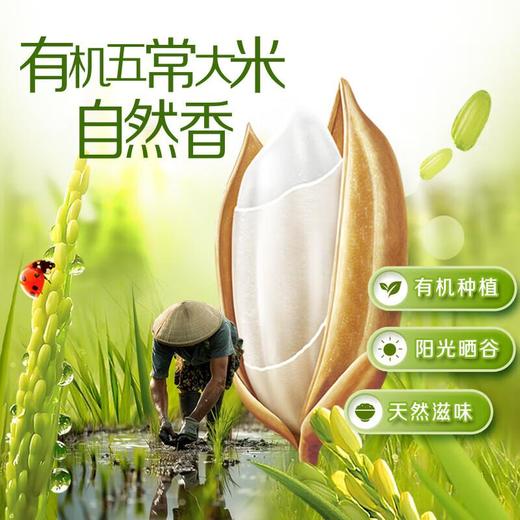 福临门自然香有机五常大米（稻花香2号）5kg/袋 商品图5