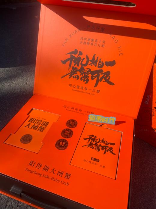 阳澄湖大闸蟹高端礼盒 商品图2